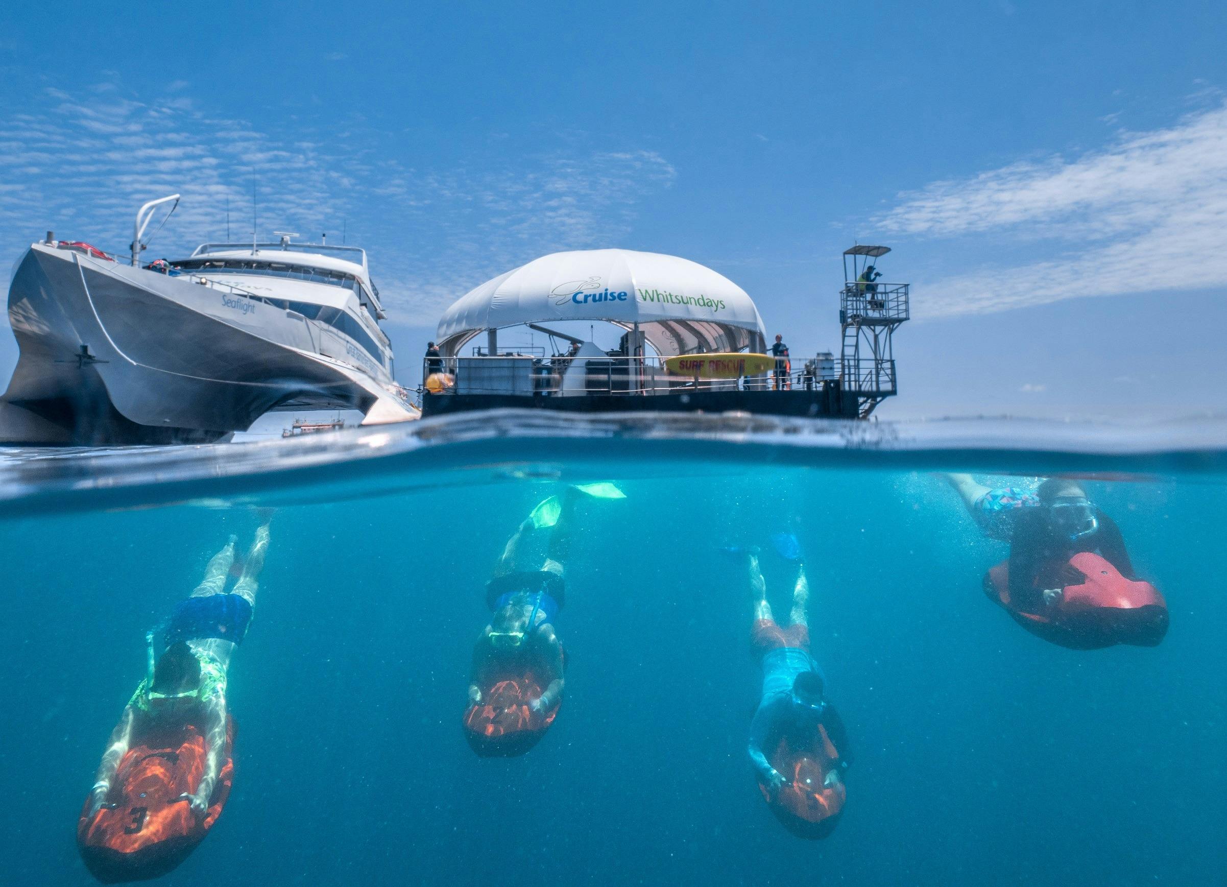 cruise whitsundays