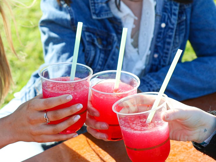 Gin Slushies