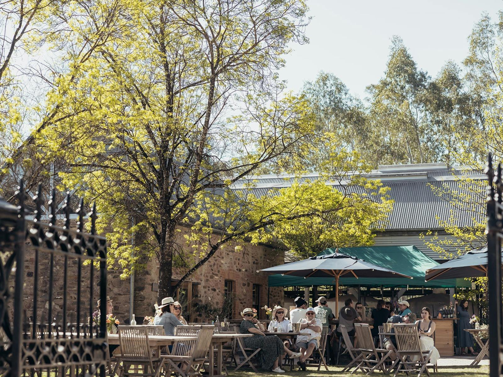 The Skilly Valley Way at Mitchell Wines