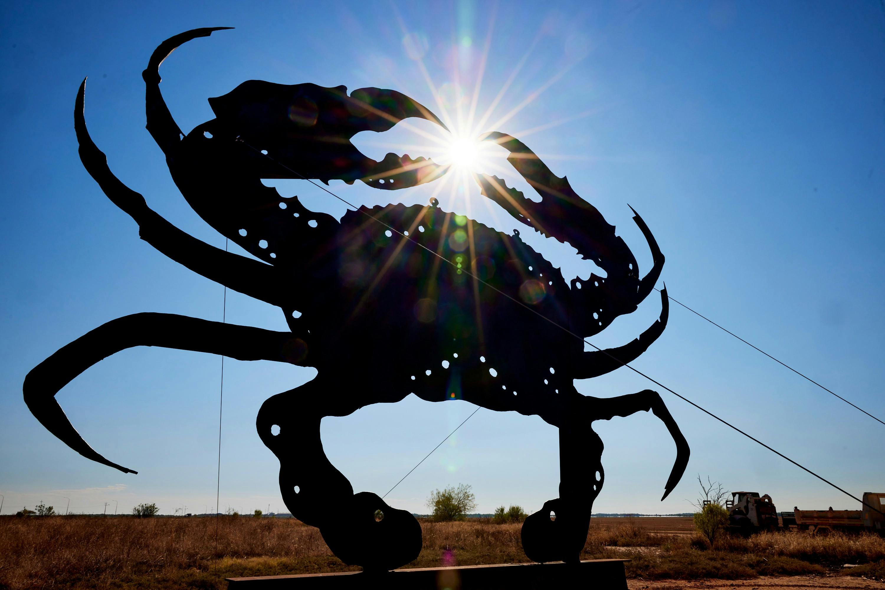 Sculptures on the Marsh