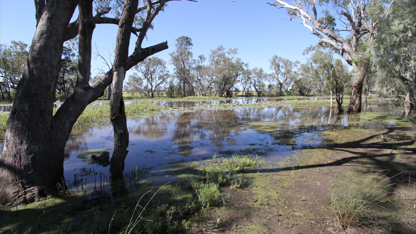 North Western Fishing Trail