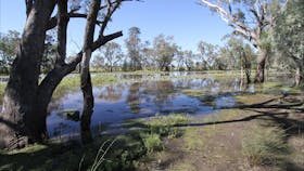 North Western Fishing Trail