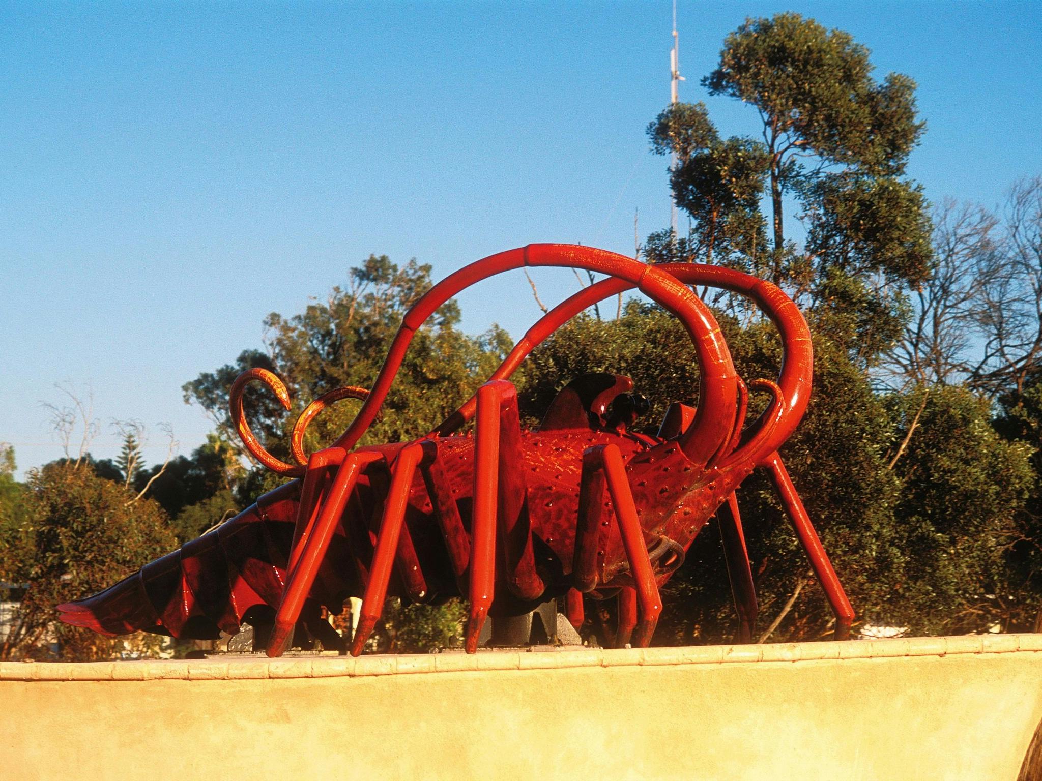 Dongara, Western Australia