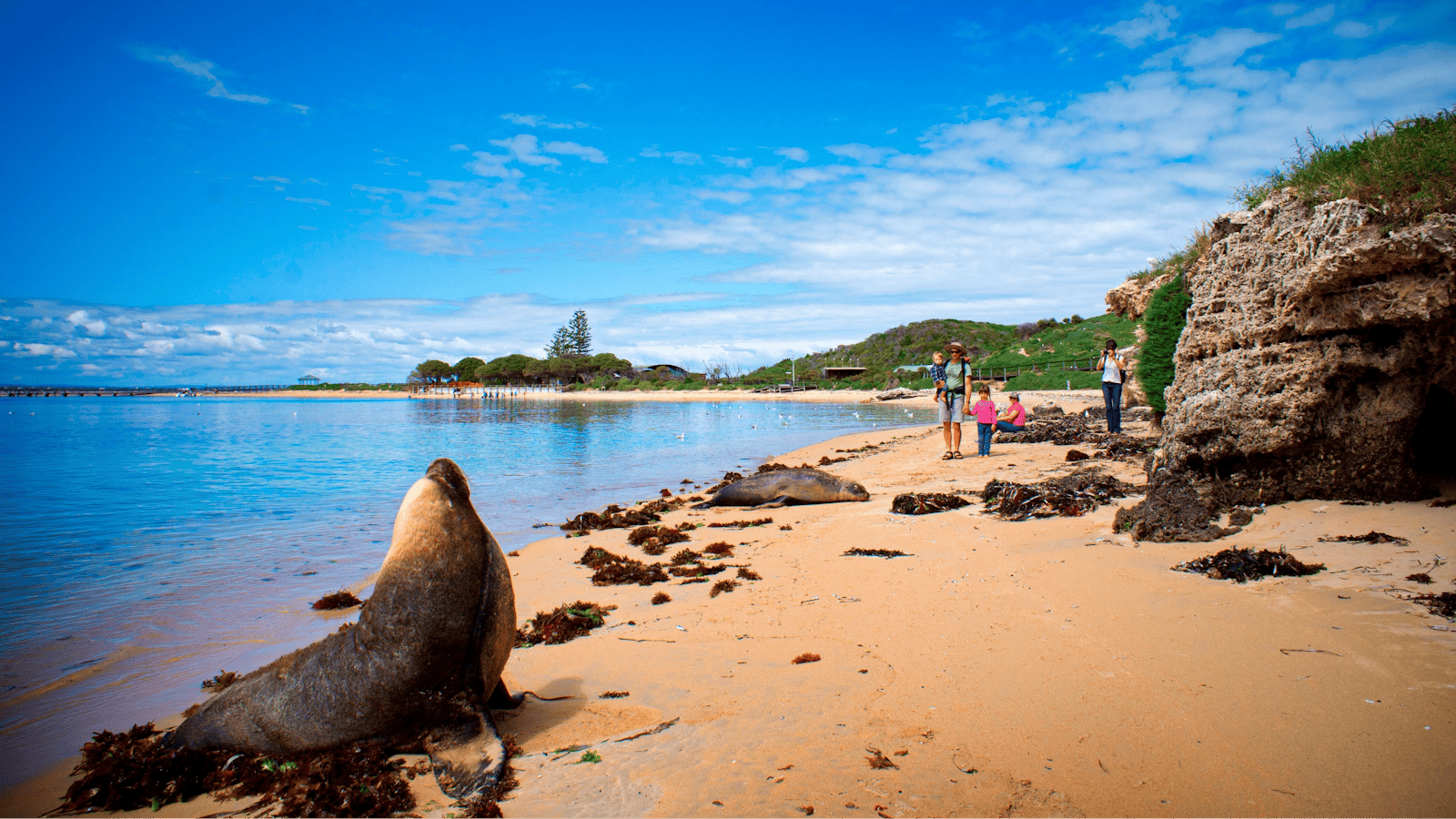 Rockingham Wild Encounters, Rockingham Beach, Western Australia