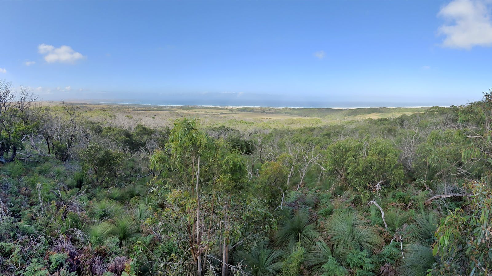 Mount Richmond National Park
