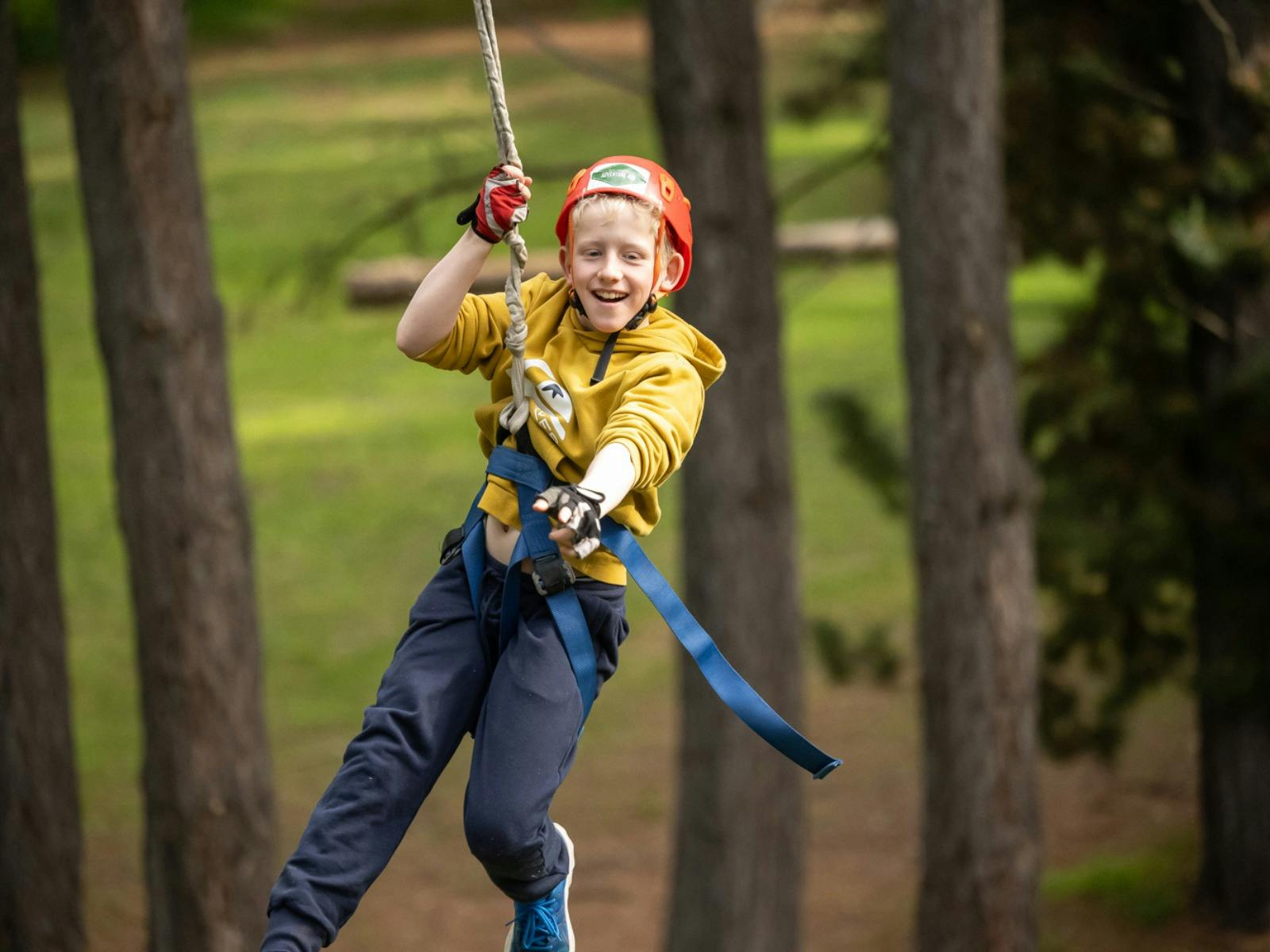 Go Wild at SAH - School Holiday