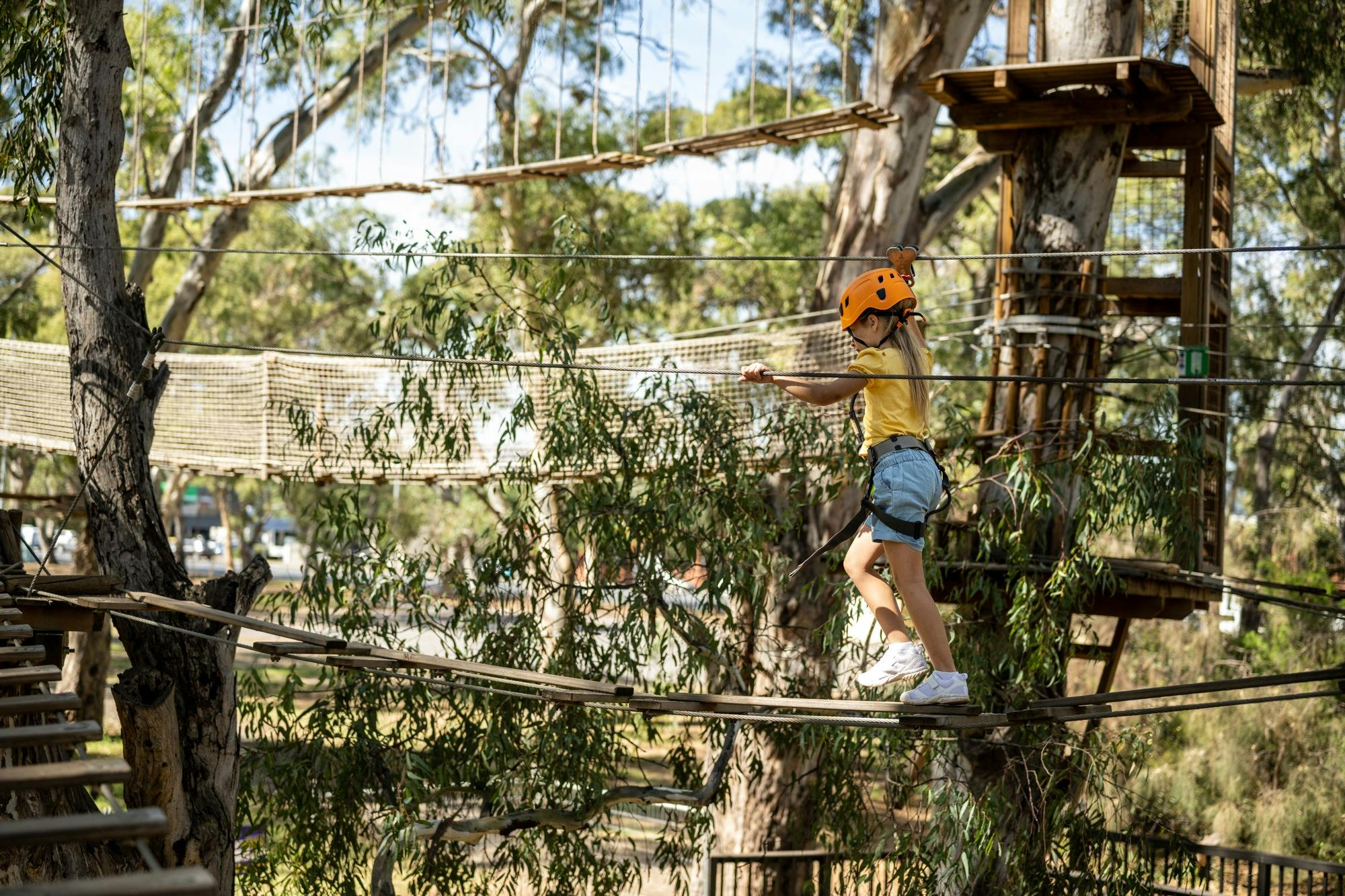 TreeClimb Adelaide Kids Course