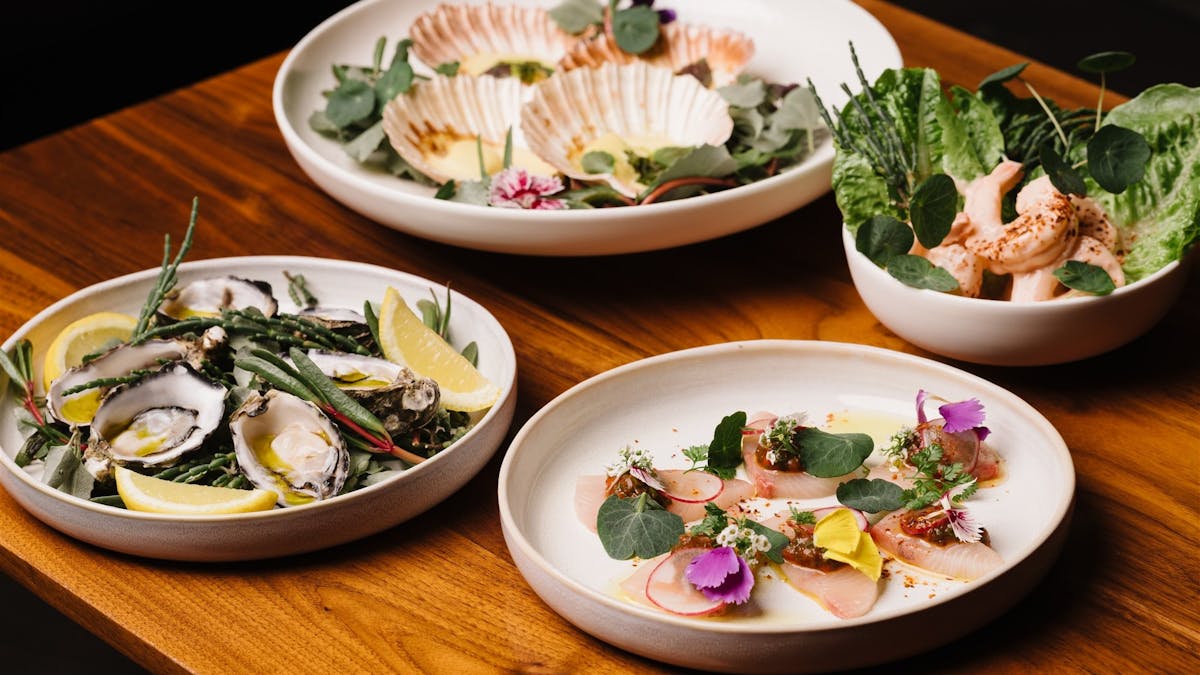 Savour Fresh Seafood at Latitude 27 Bar