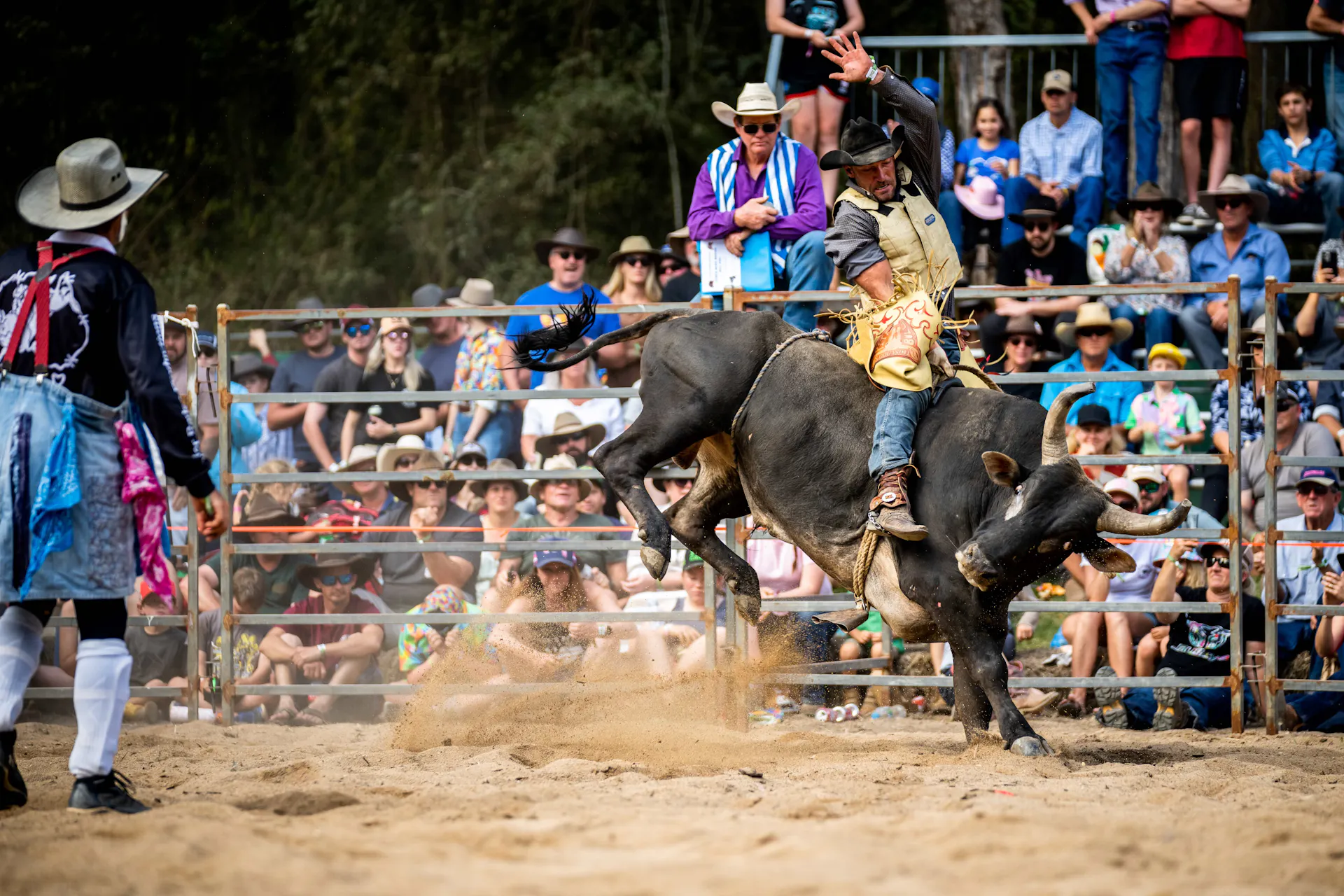 Gympie Music Muster Bull riding