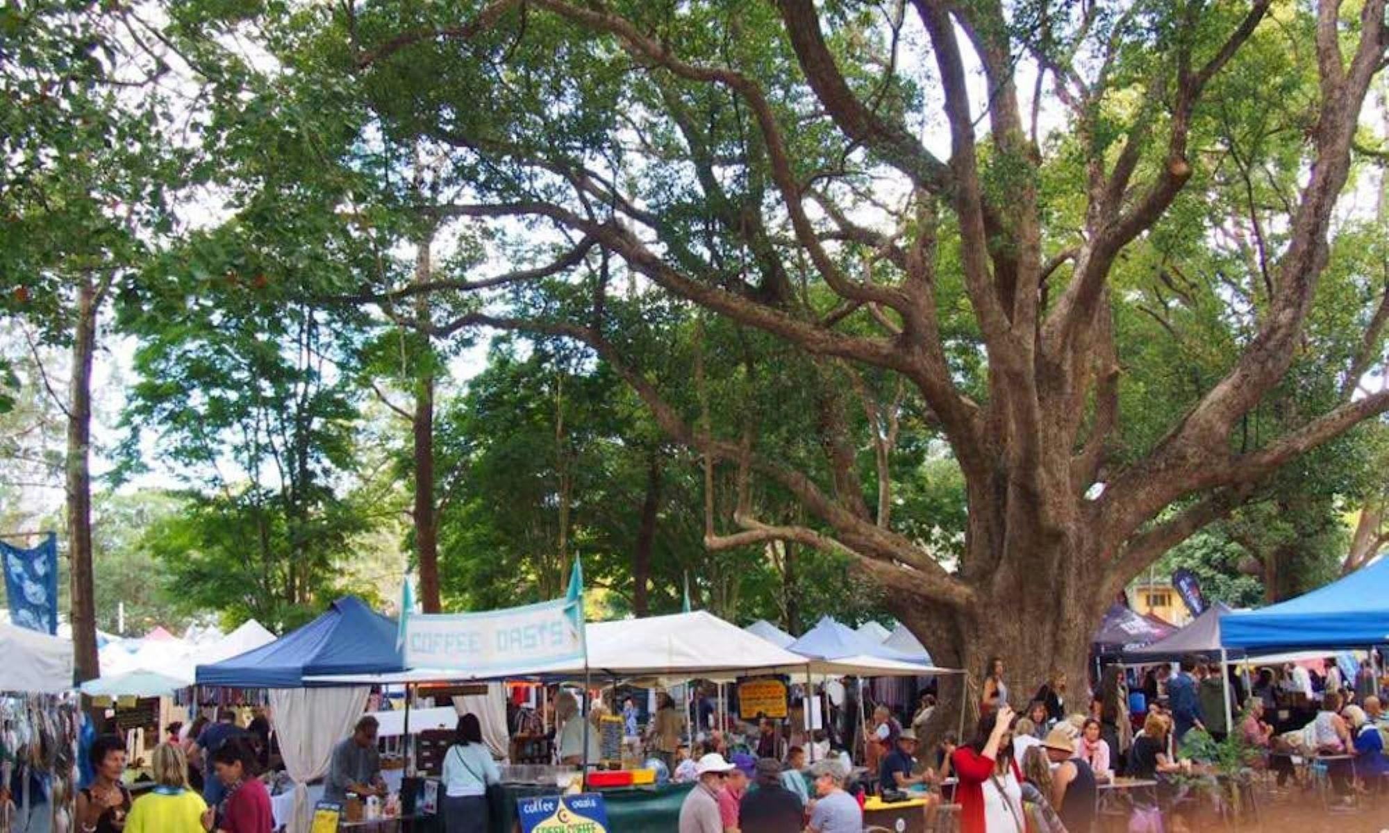 Image of a variety of food stalls and people gathered under a large tree