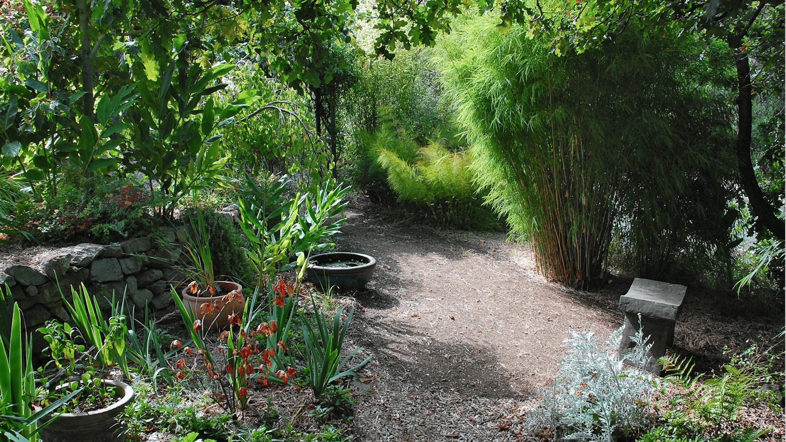 The Gardens Apartment Hobart - Gardens in Summer
