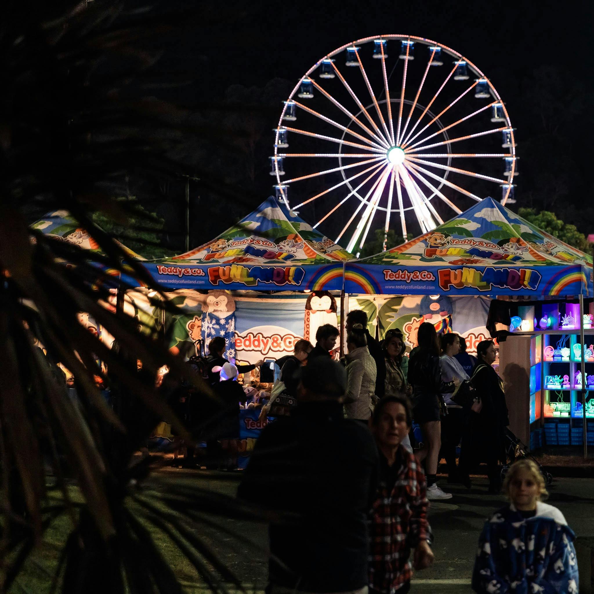 Ferris Wheel and Crowds