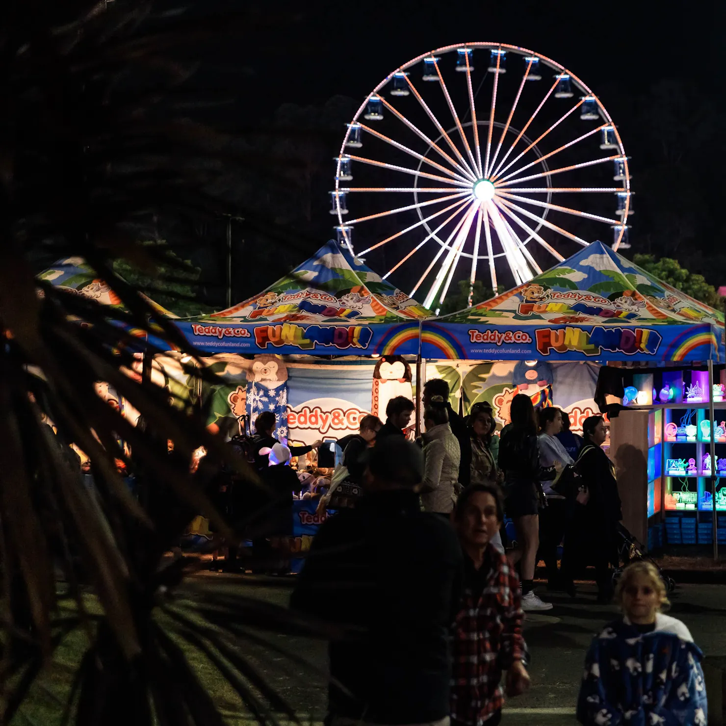 Ferris and Crowds