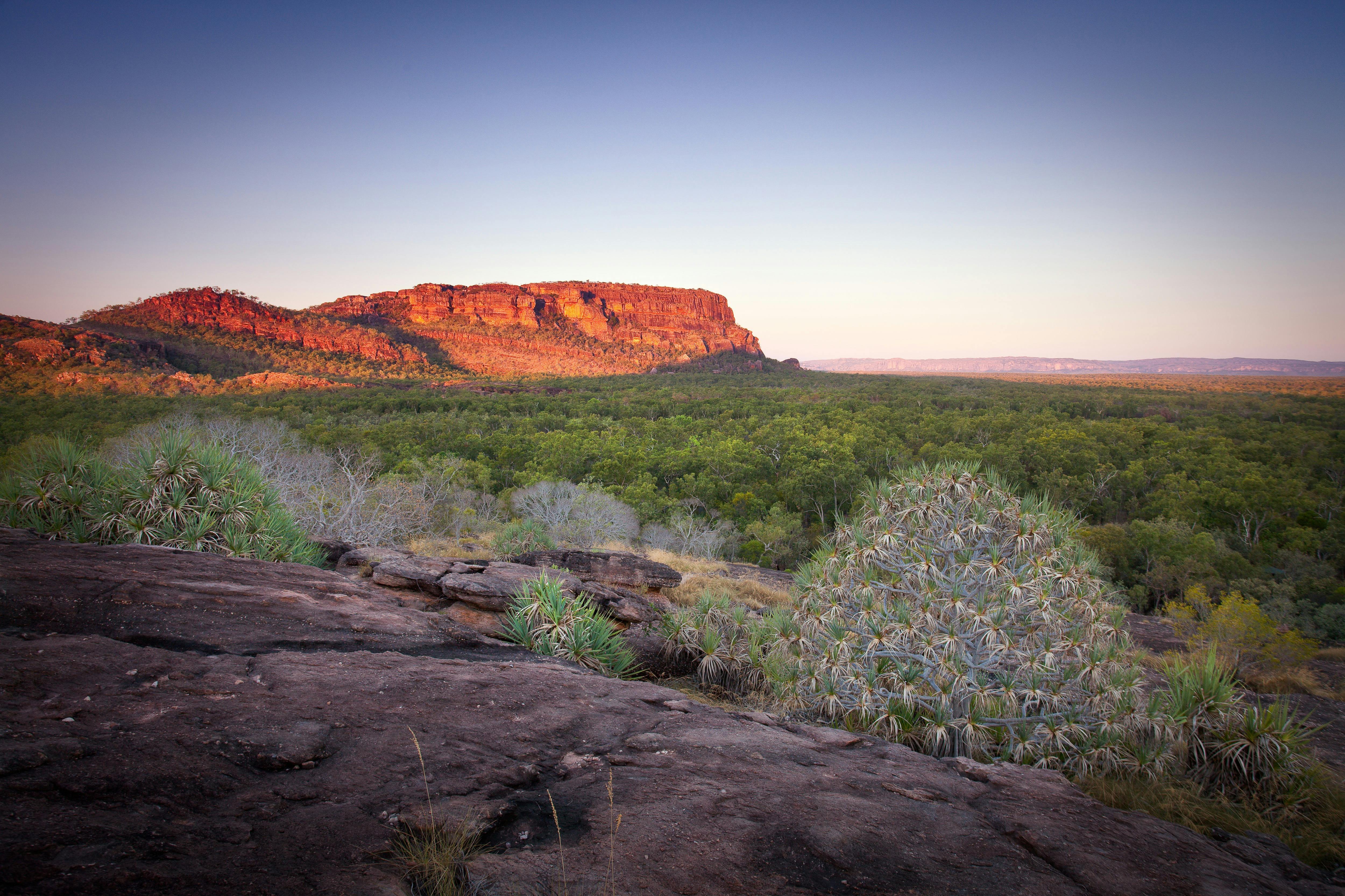 The ancient Kakadu escarpment glowing at sunset, a highlight of any Northern Territory walking adven
