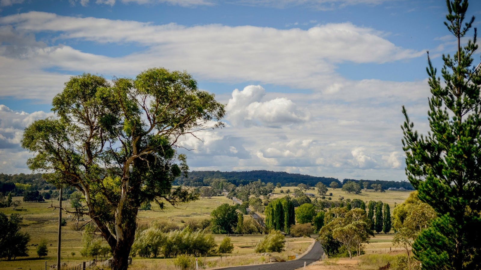 Main Road 92 passes through picturesque farming country on the way to the Shoalhaven Coast.
