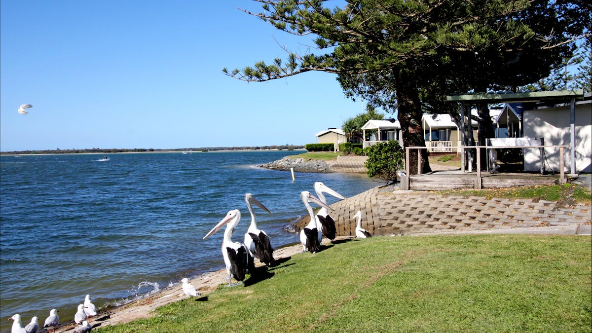 Broadwater Tourist Park Gold Coast