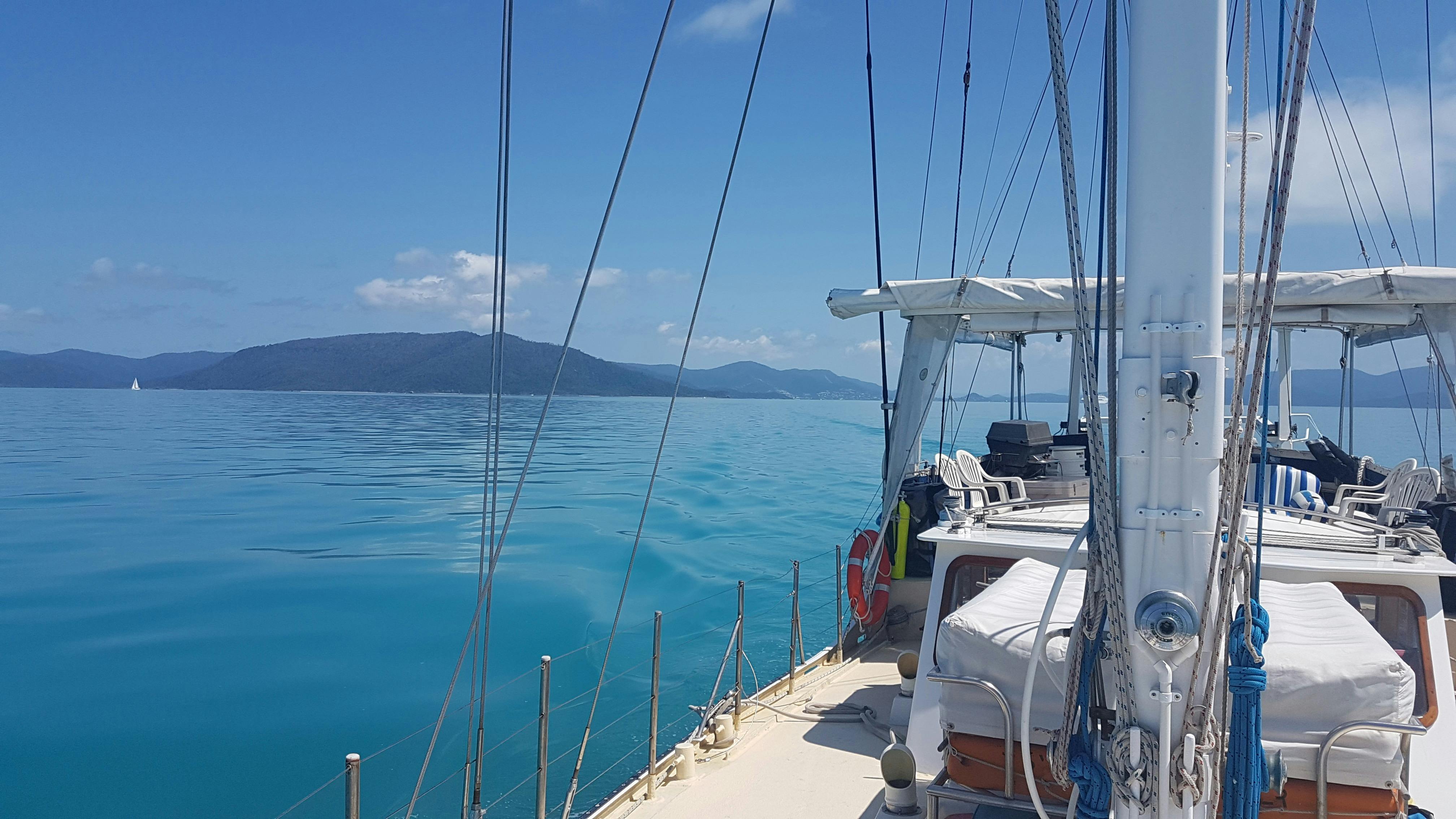 We sometimes see sea snakes basking on the sea when it's this calm.  wat