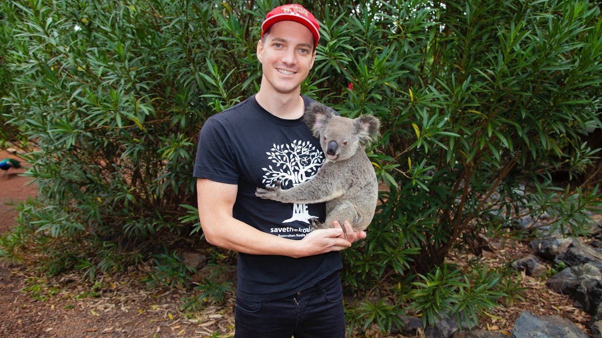 Koala