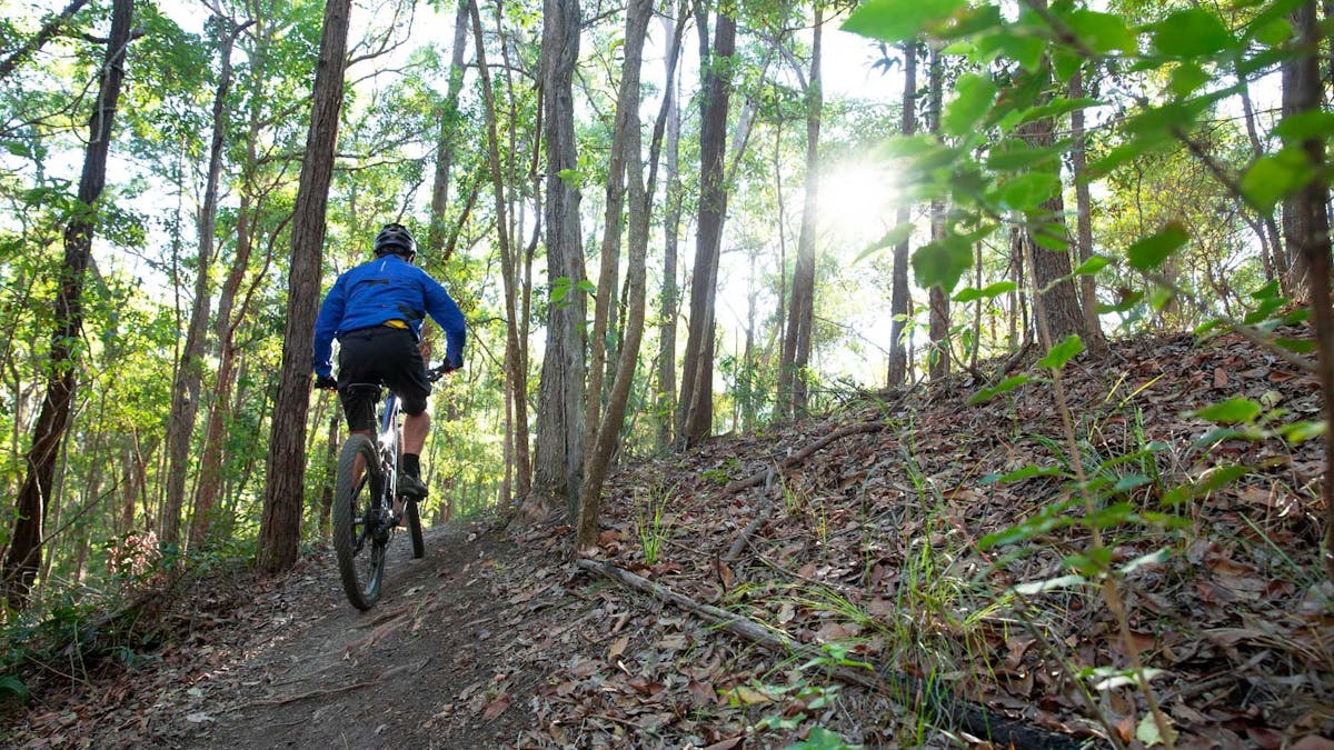 Bike riders and accessibility riders on dirt tracks through bushland reserve