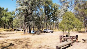 Camp and vehicle set up under trees with mown grass in foreground.