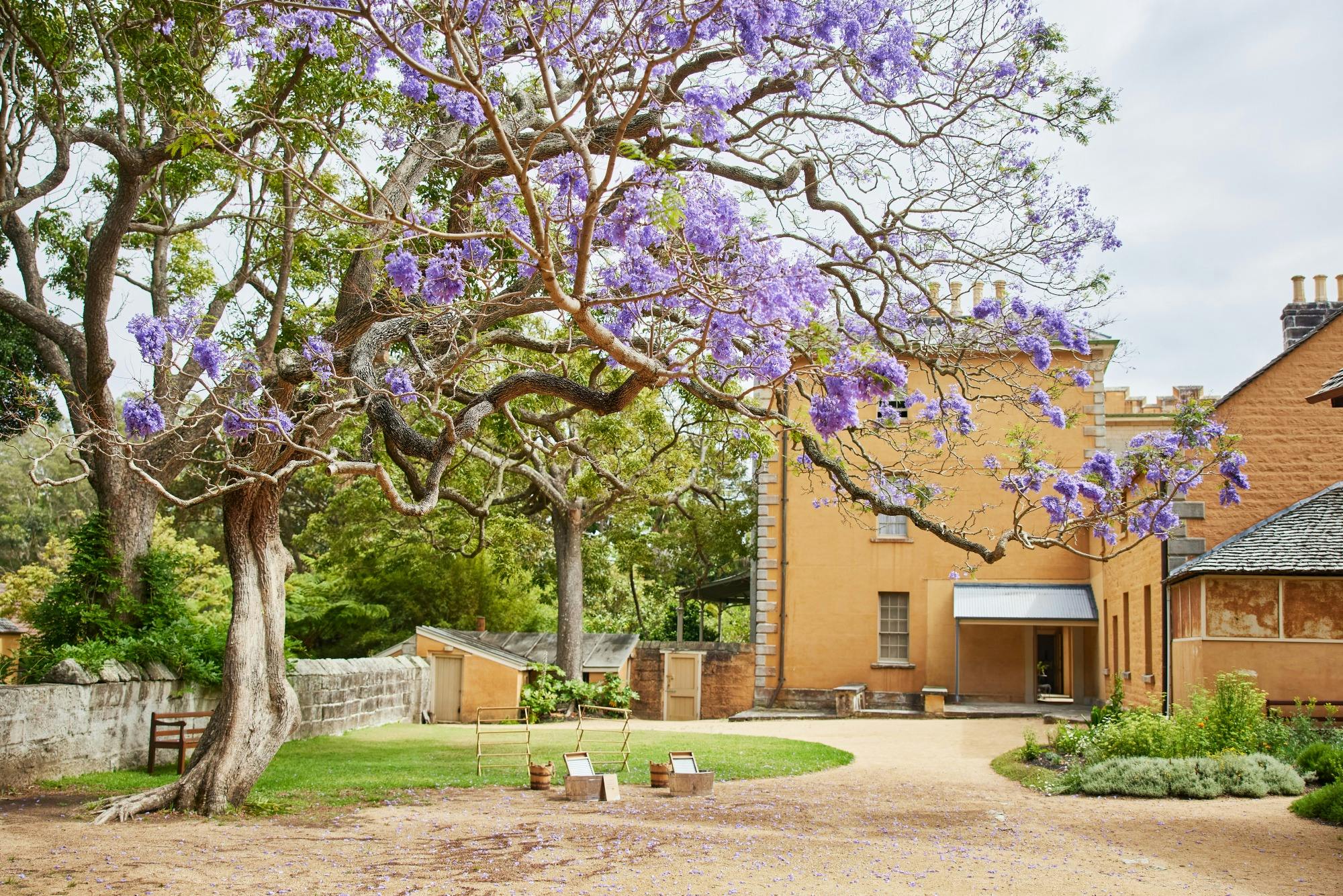 Exterior of historic house