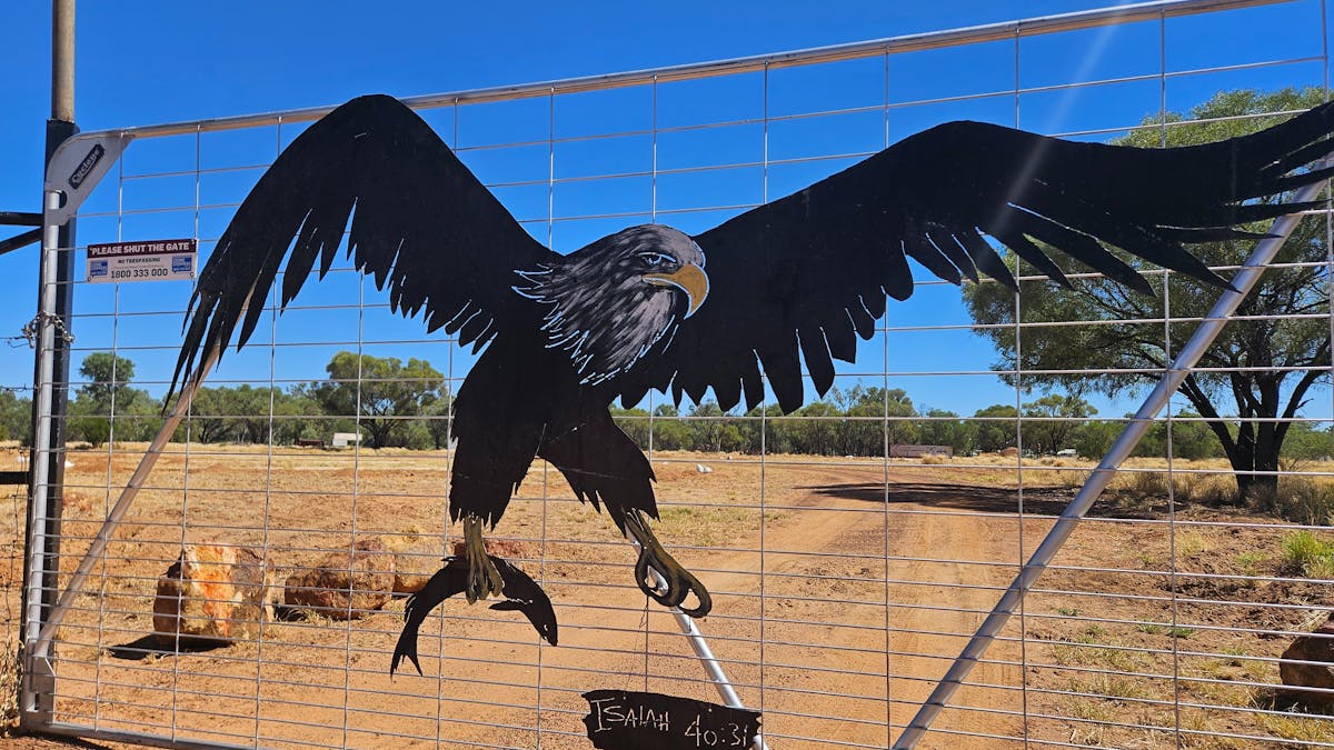 Arrival at Ticklemans Gardens with the eagle art on the front gate Arrival at Ticklemans Gardens with the eagle art on the front gate