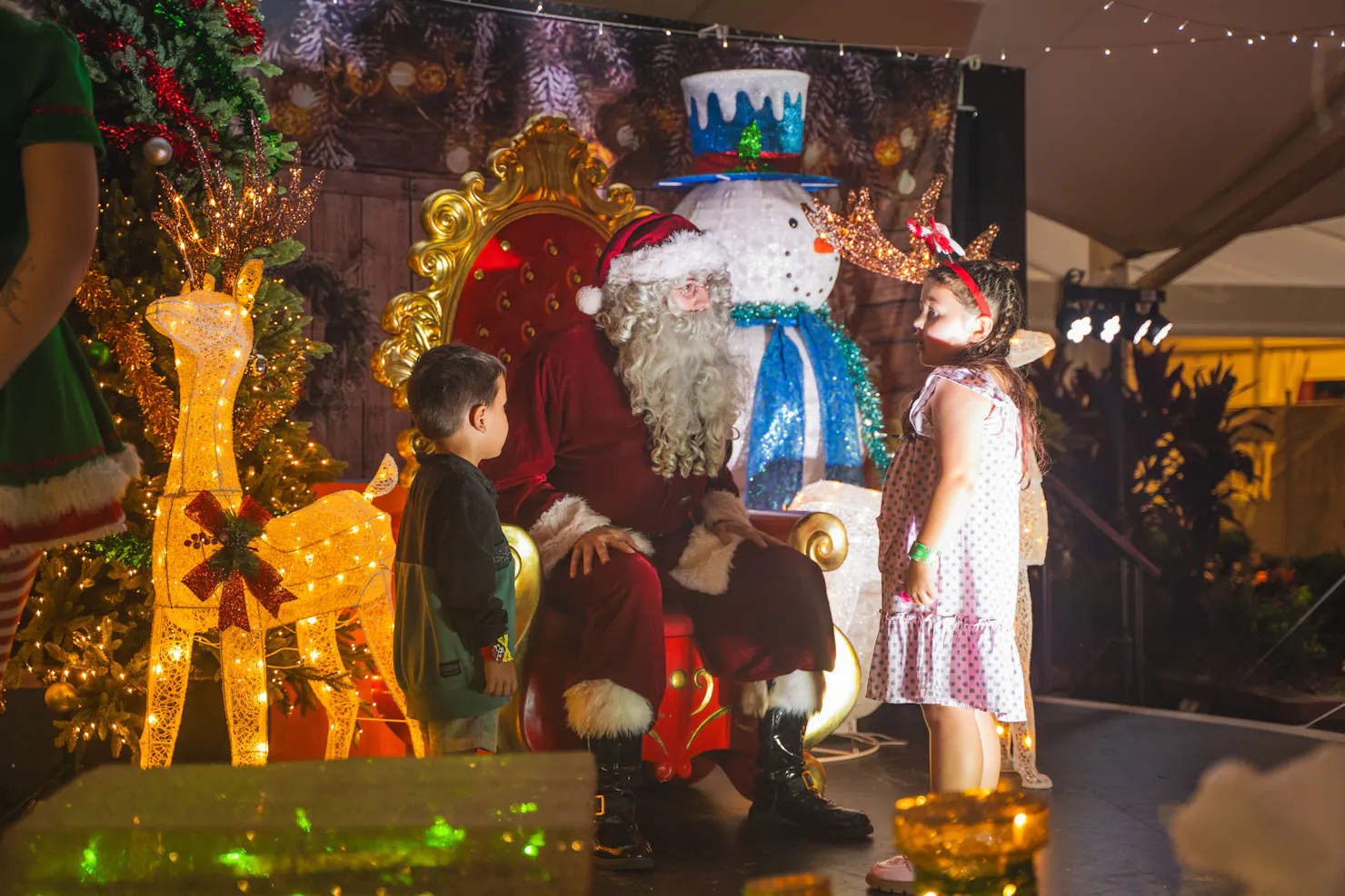 Children wiating to sit on Santa's knee for a photo