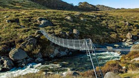 Illawong track, Kosciuszko National Park. Photo: Murray van der Veer