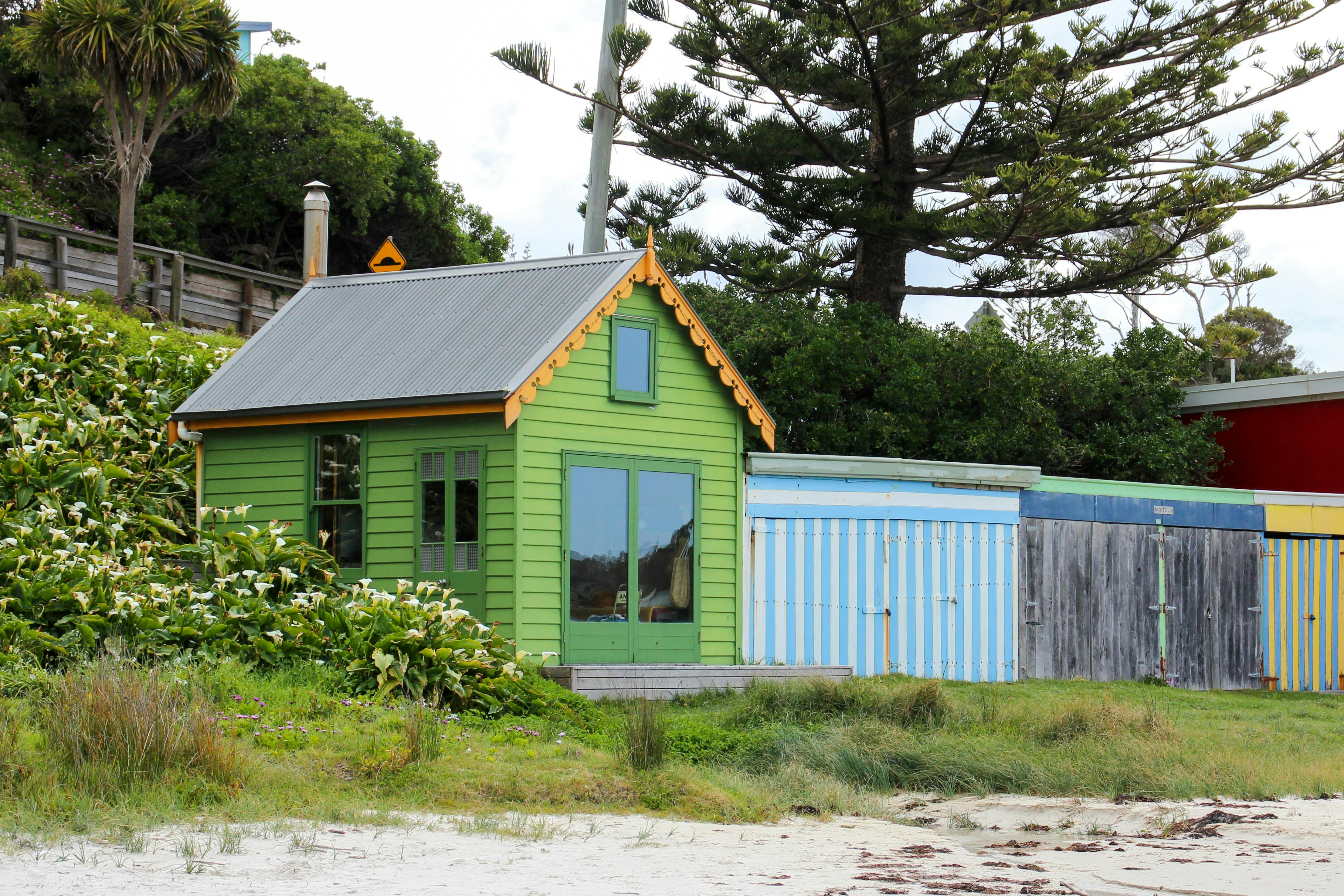 Boat Harbour Beach Tasmania, whitest sand and clearest ocean