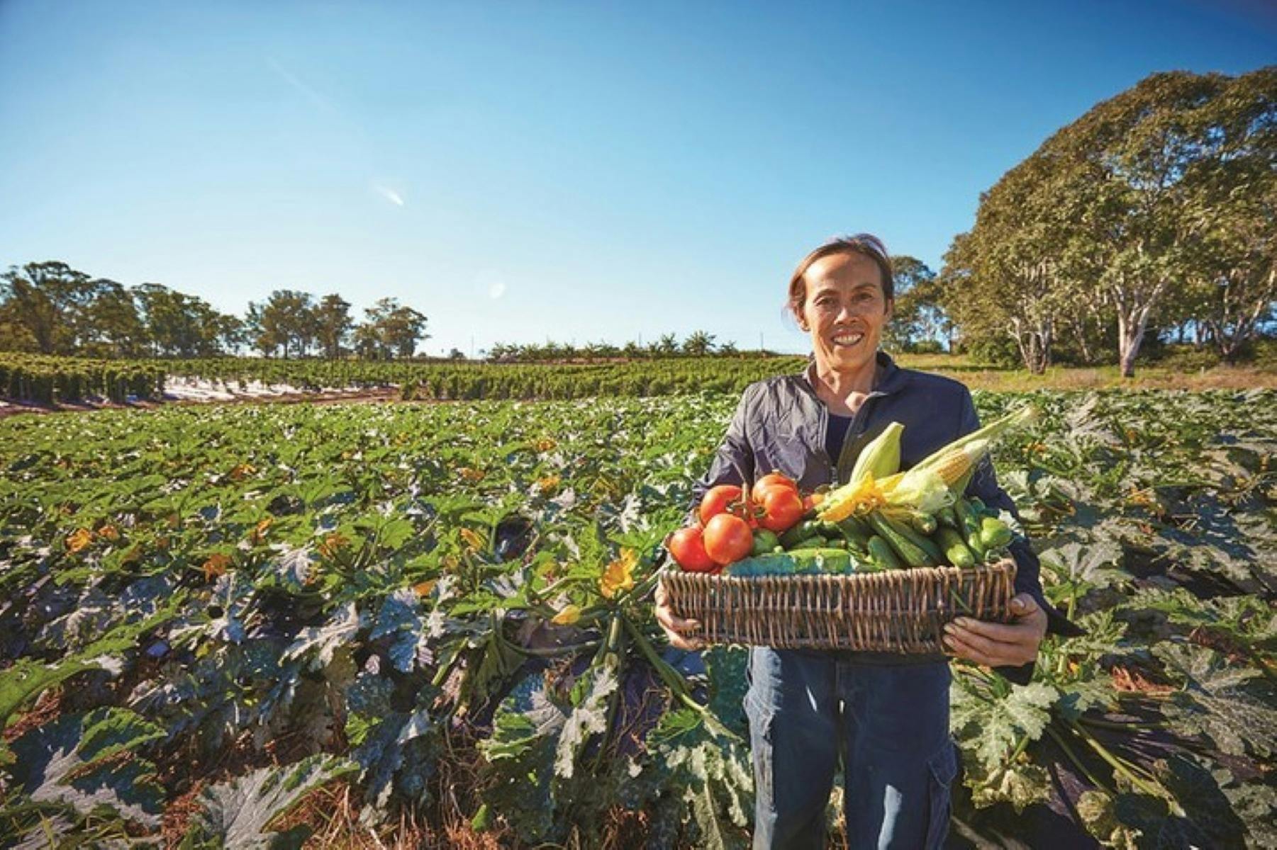Farm Gate fresh vegetables & flowers