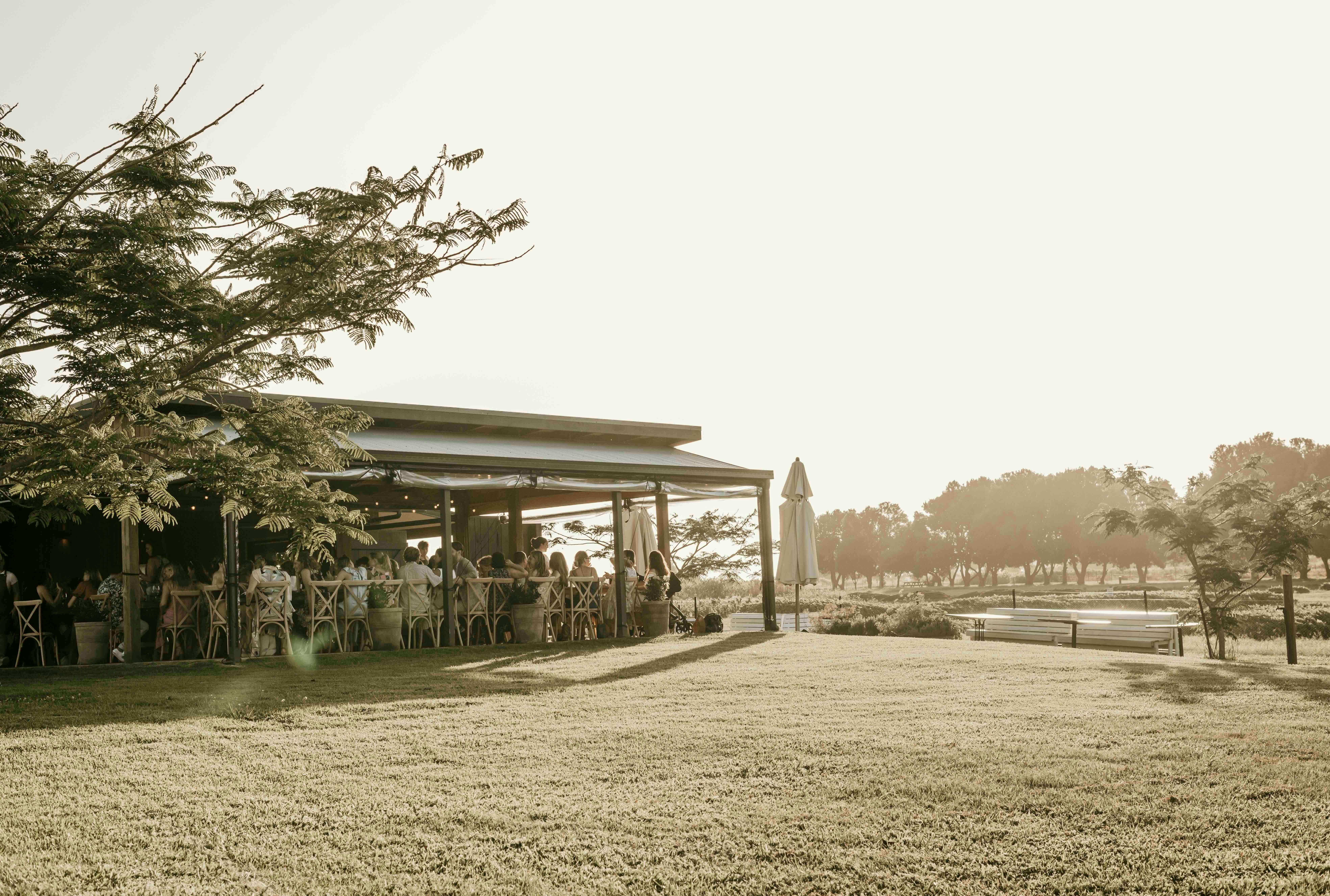 Farm and Co Restaurant