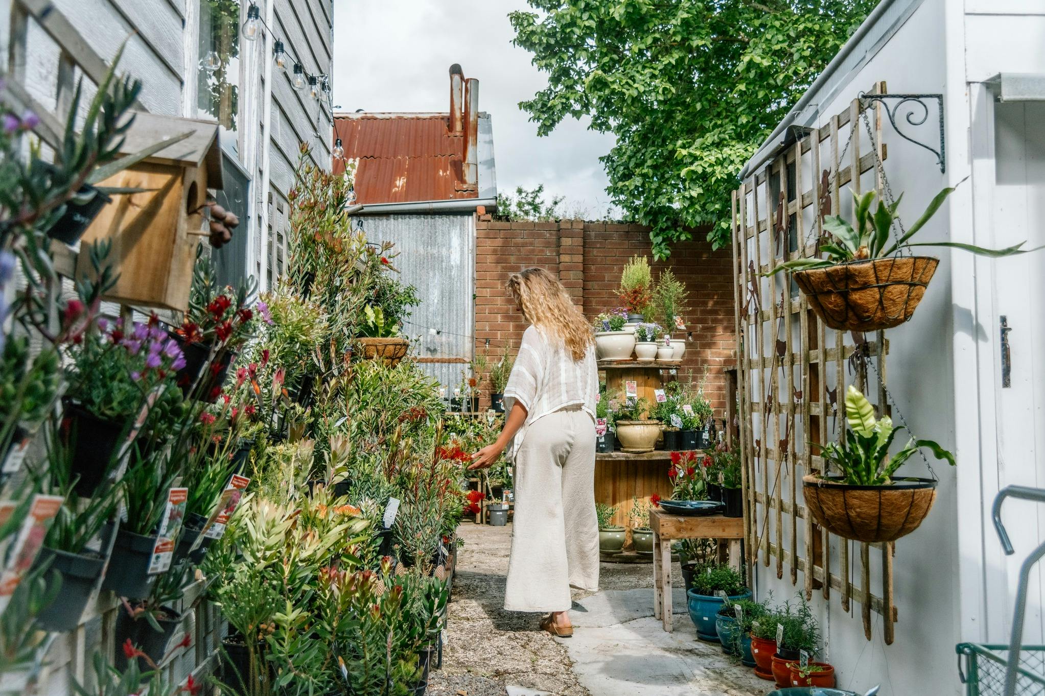 Person in Nursery looking at plants