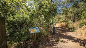 Walking track through coastal forest, Capricorn Coast National Park