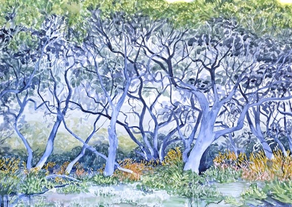 Among The Trees - an exhibition by Lauren Guymer