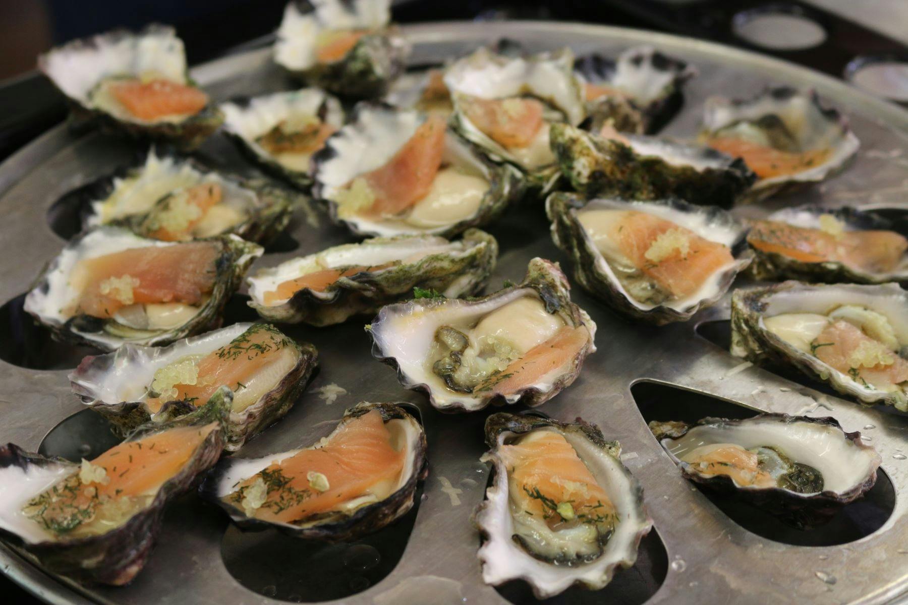 oysters