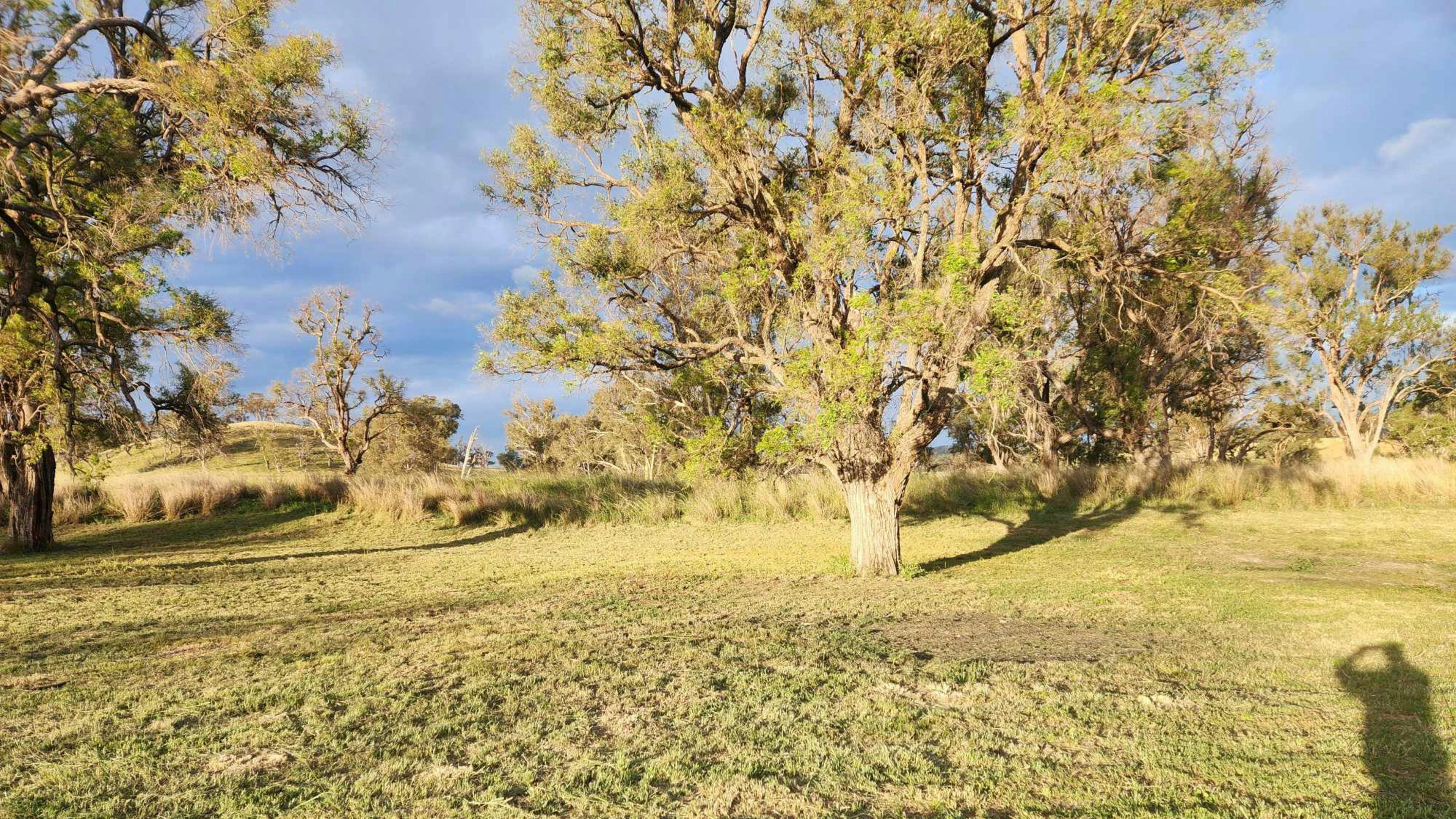 3A Camping experience.