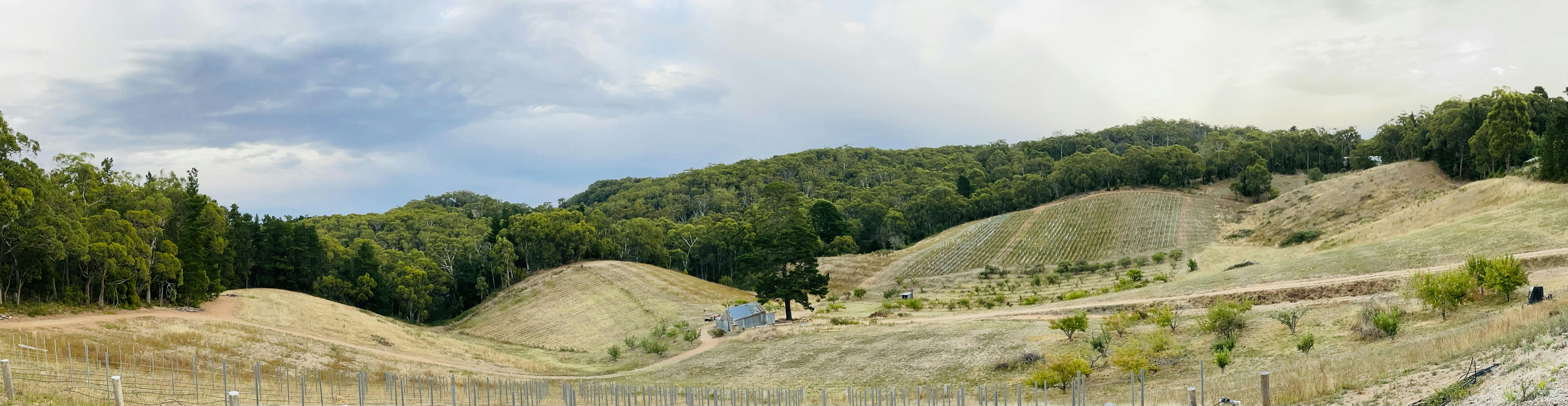 Tagai - Vineyards and Cellar Door