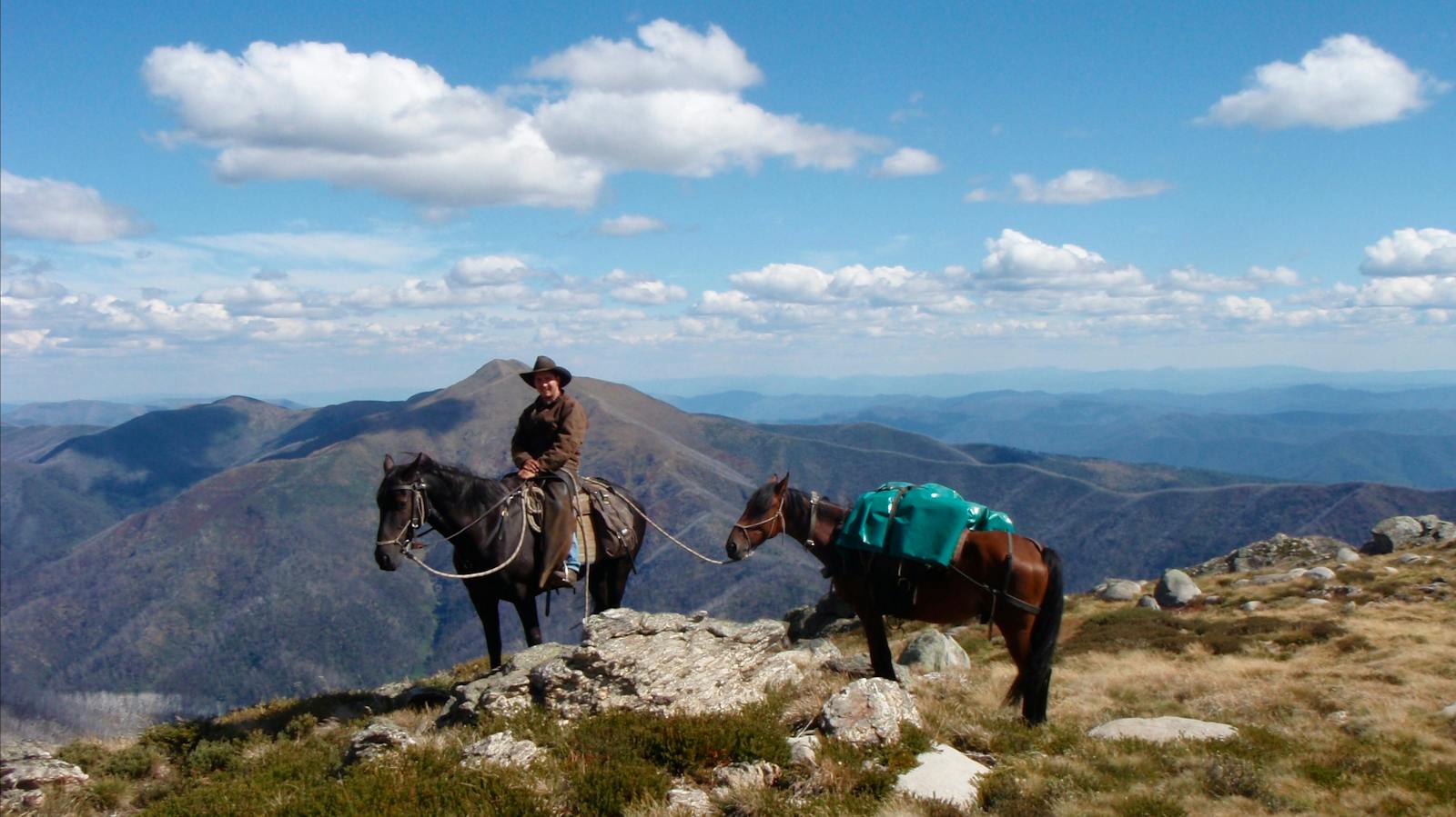 https://bogonghorse.rezdy.com/catalog/563/day-rides?iframe=1