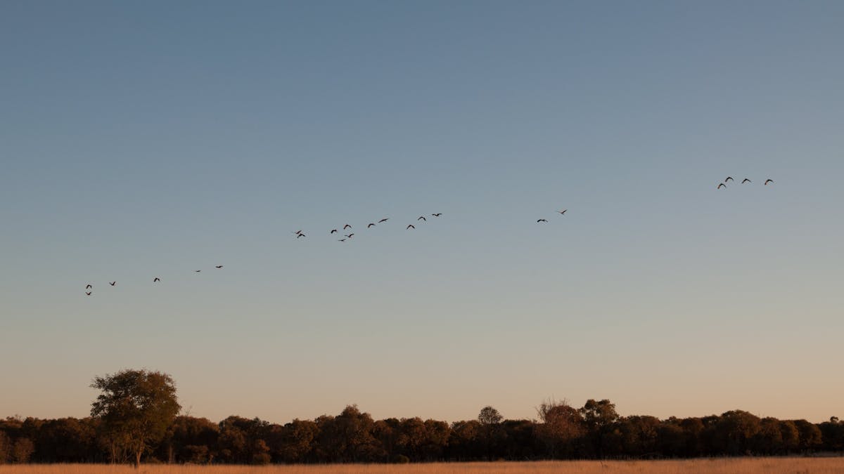 Get back to nature at Stubby Bend free camp site in Tambo