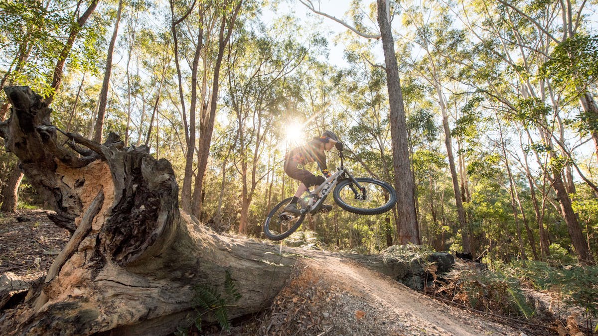 Cyclist mid-air during fast ride on Bayview Conservation Area trails, Redlands Coast