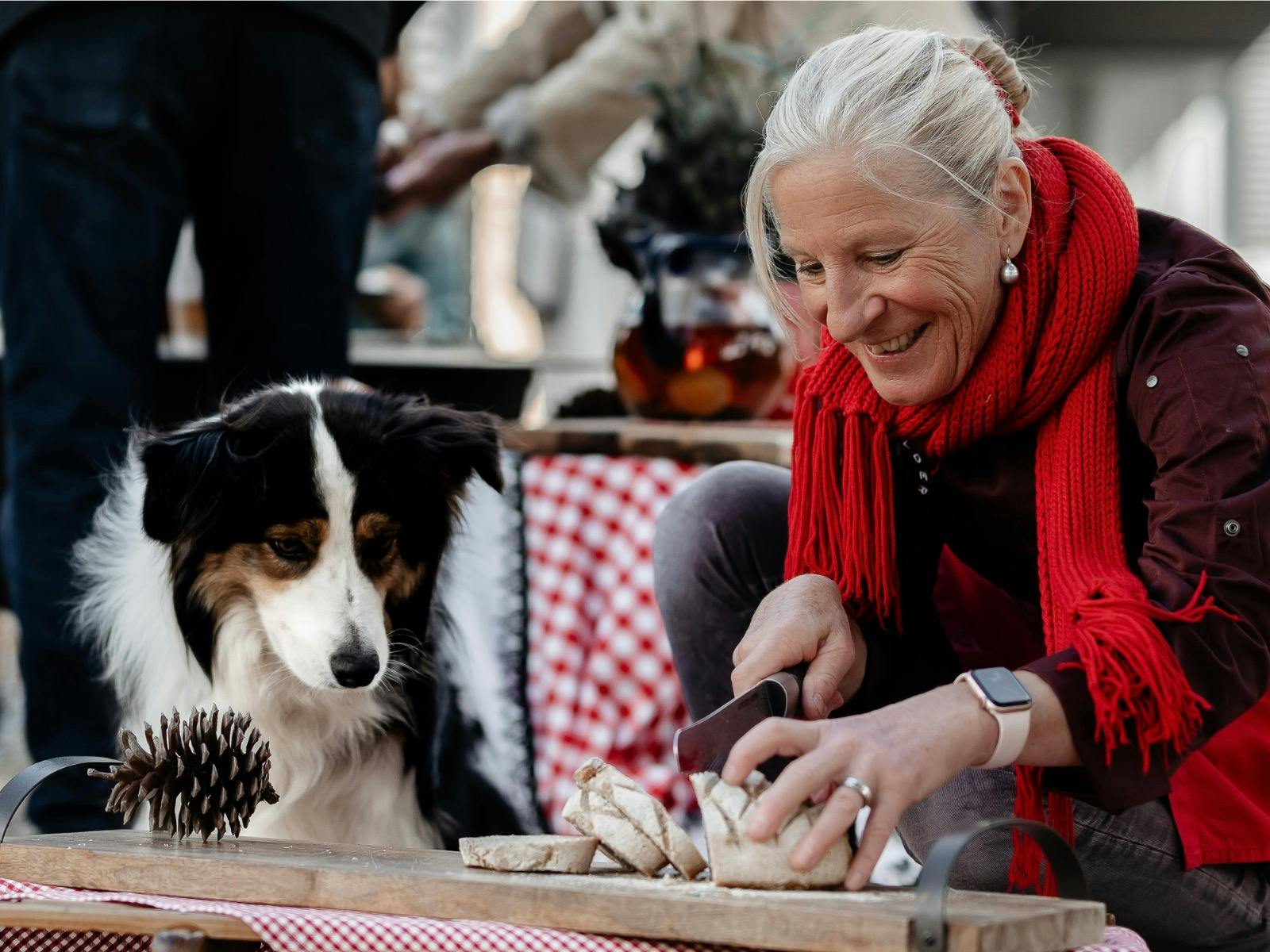 Meet our beautiful dog, Jem