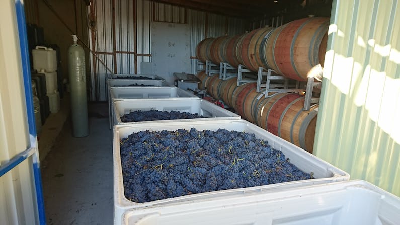 Image of the event 'Behind the Scenes with the Winemaker'