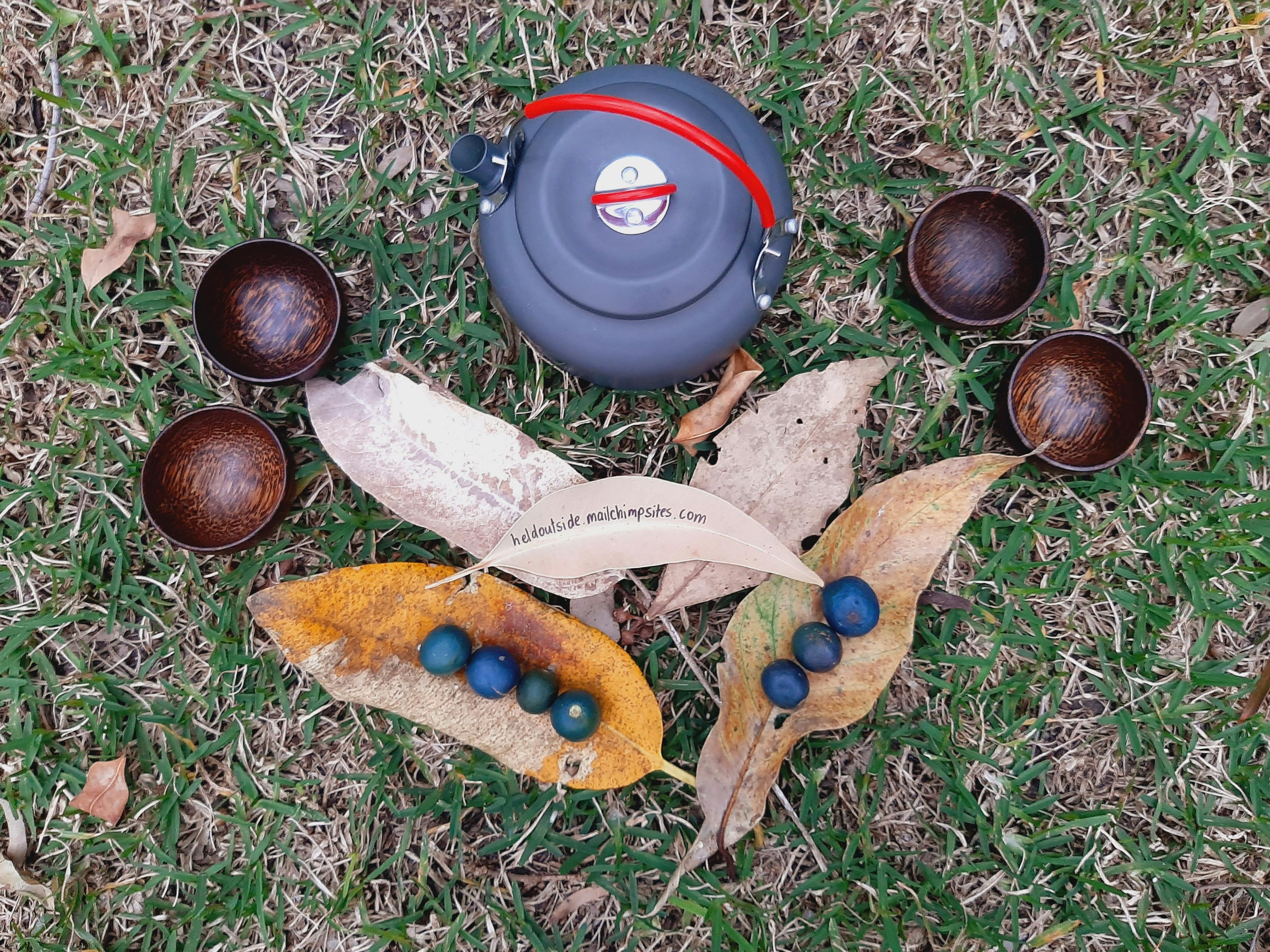 Forest tea