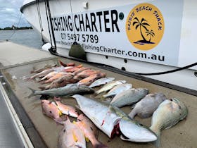 Catch on Beach Shack Fishing Charters
