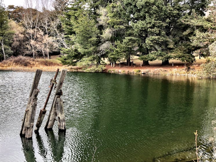 Lower Sheba Dam