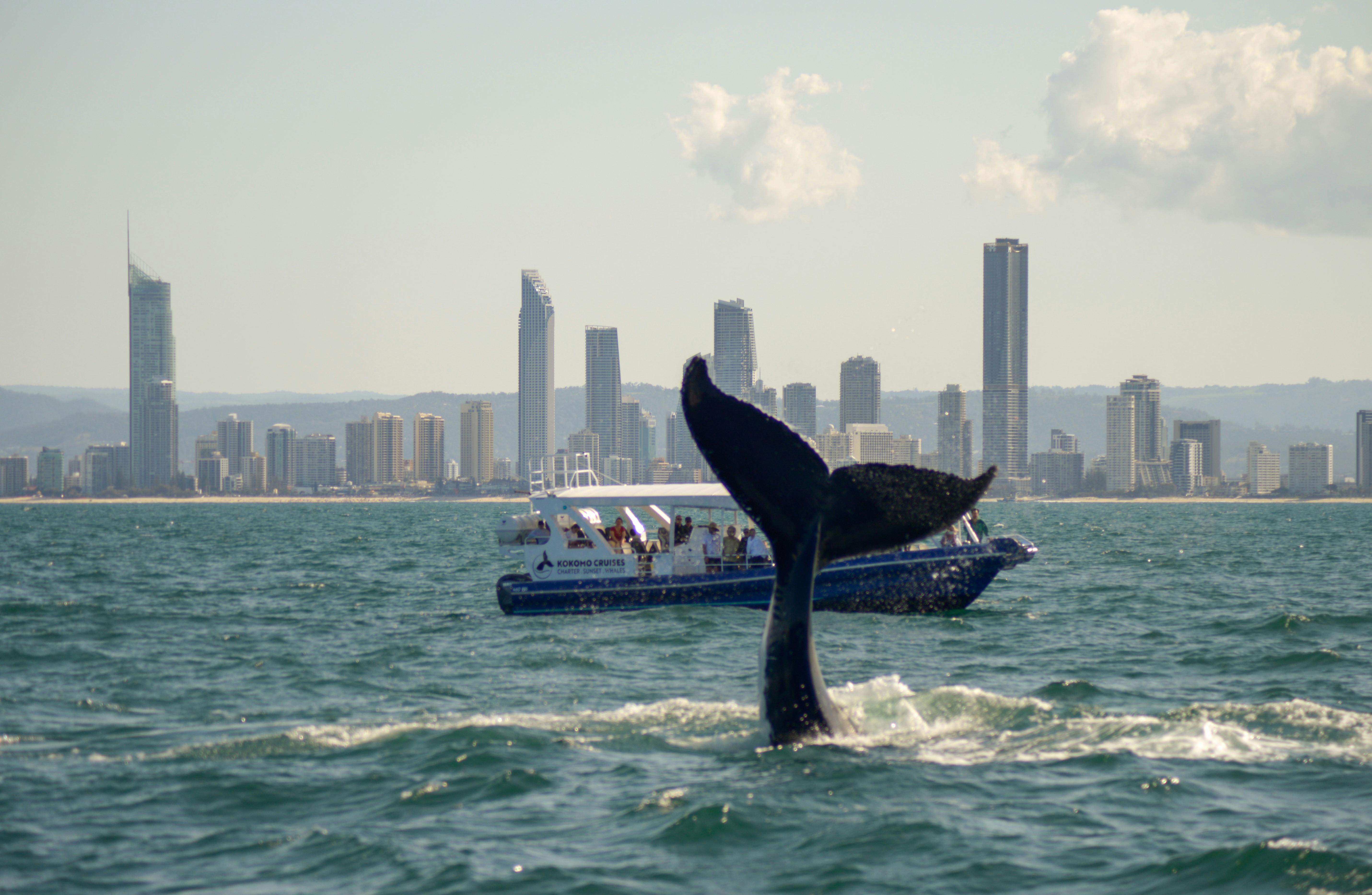 In the Gold Coast waters!