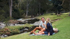 Picnic beside Canungra Creek