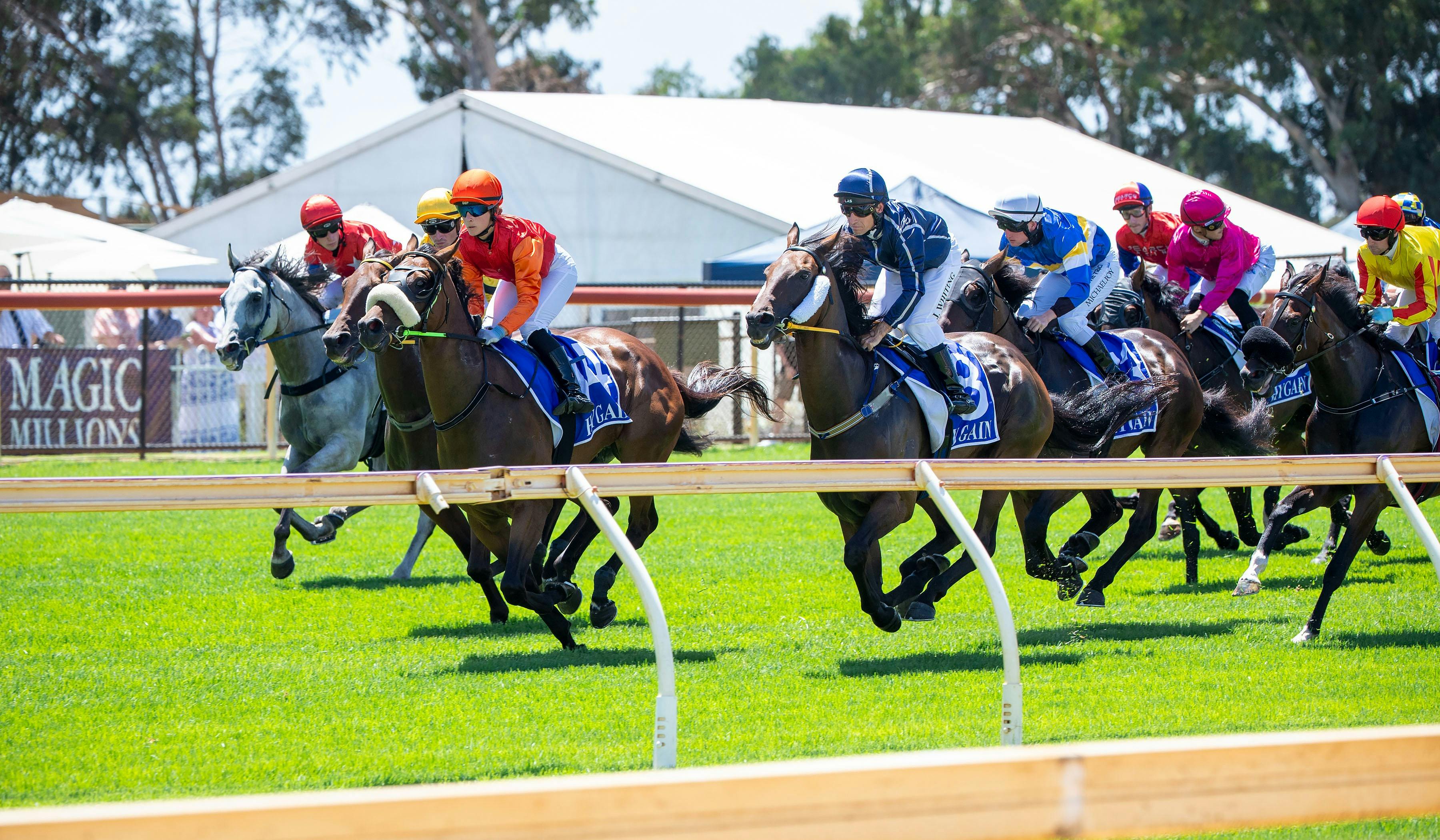 Horses Racing at Pinjarra Park
