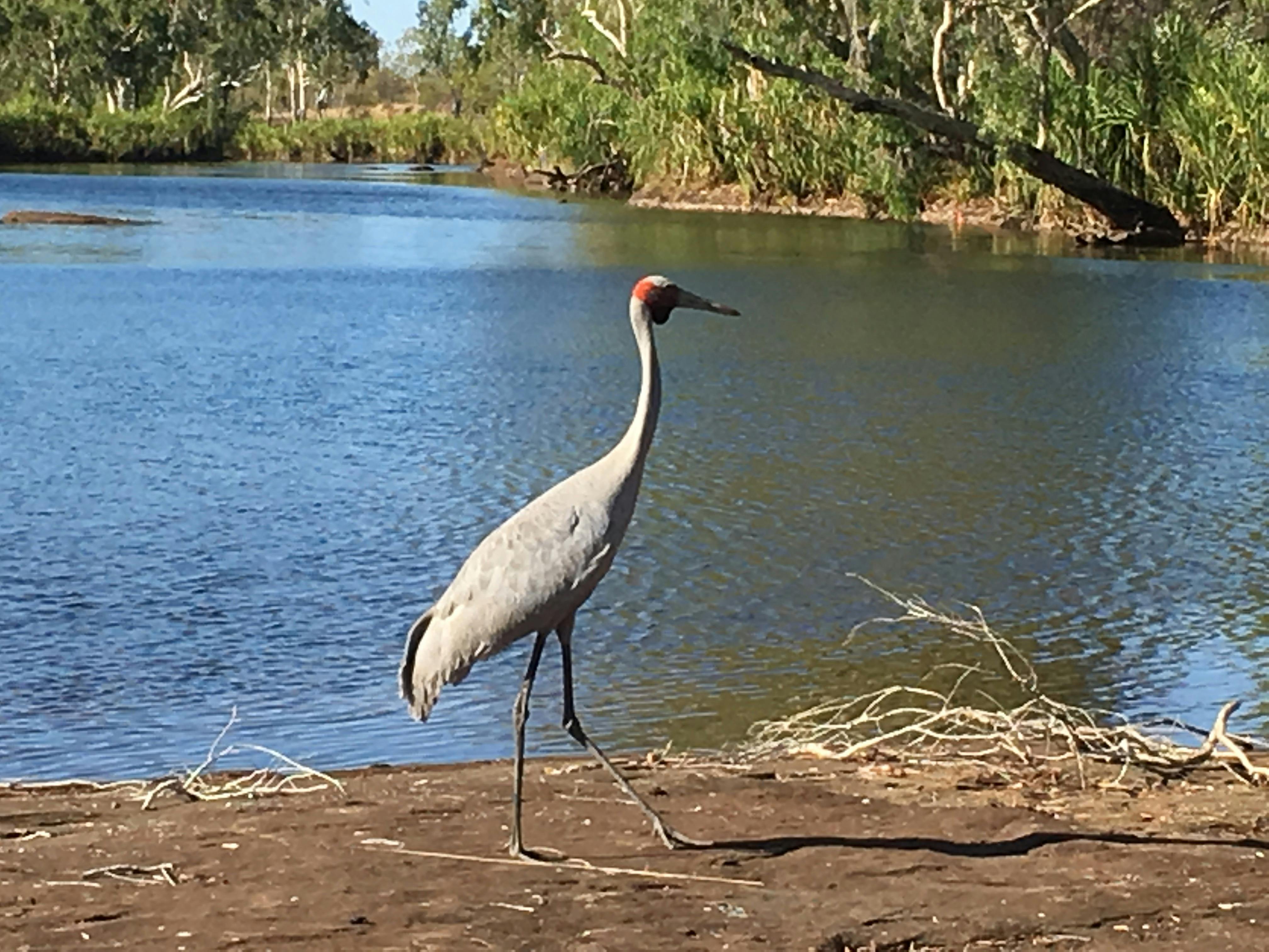 HOT Tours, Kununurra, Western Australia