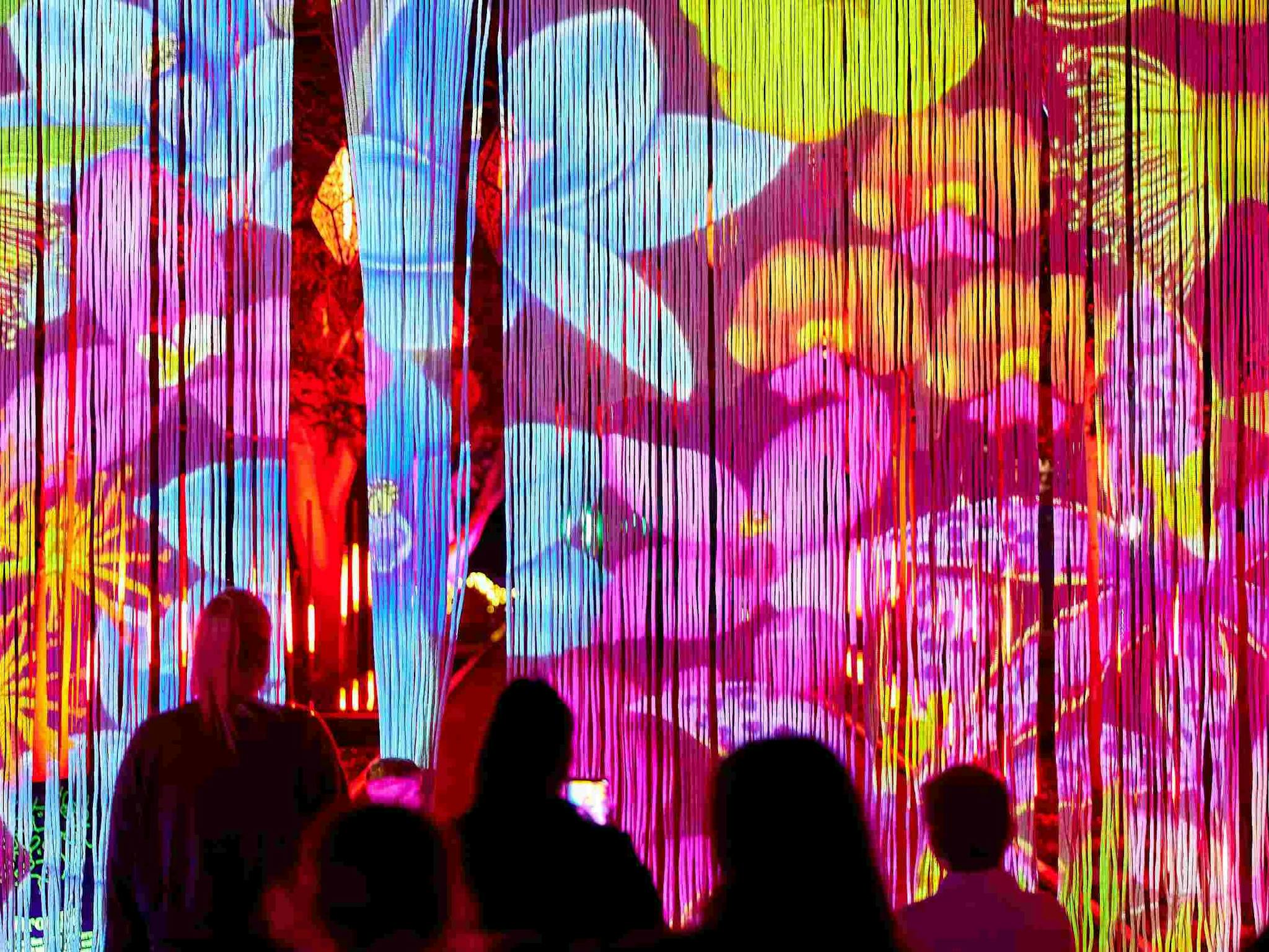 People watching flowers on hanging curtain